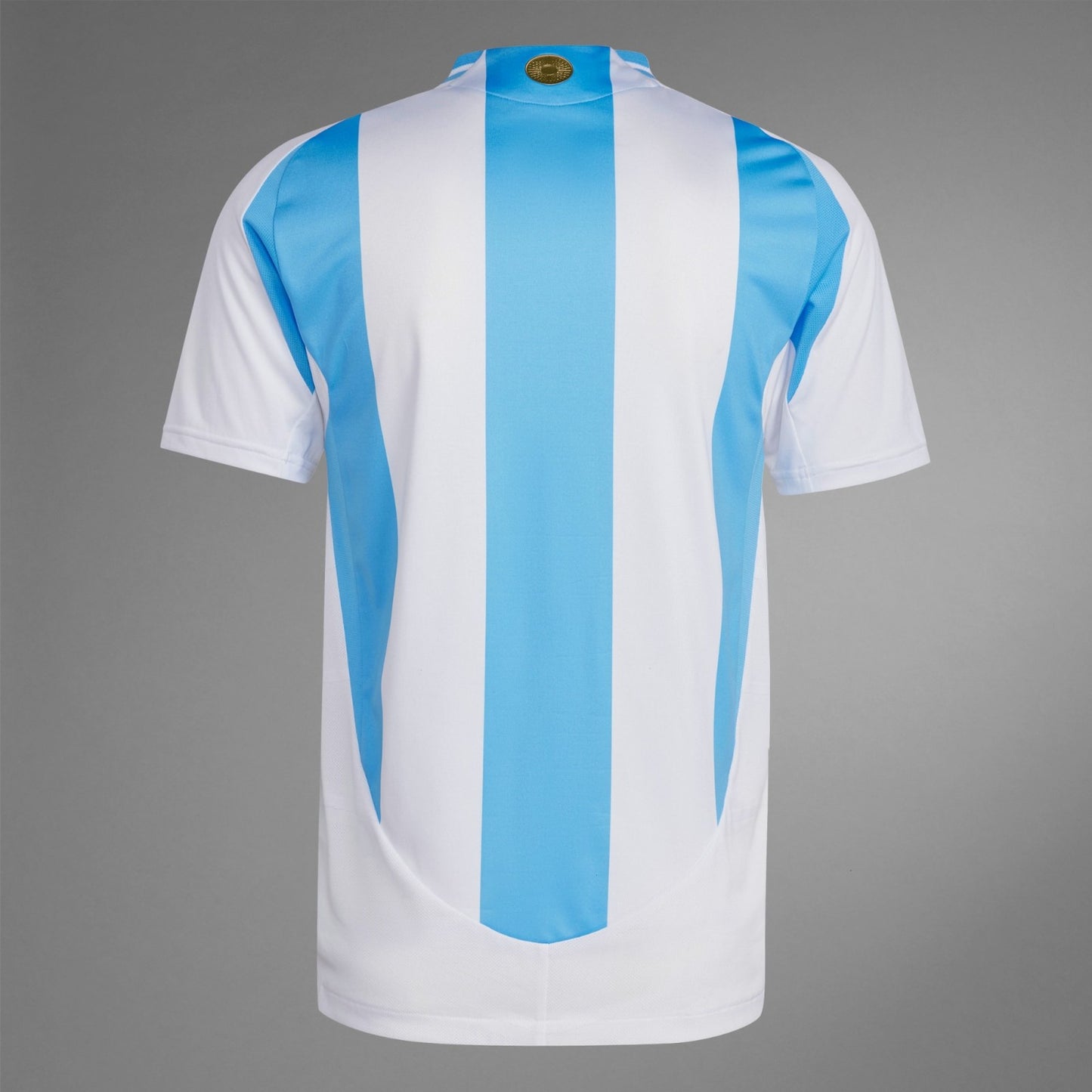 Argentina Home Player Version 24/25